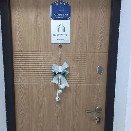 Apartment Martenovic 1 *